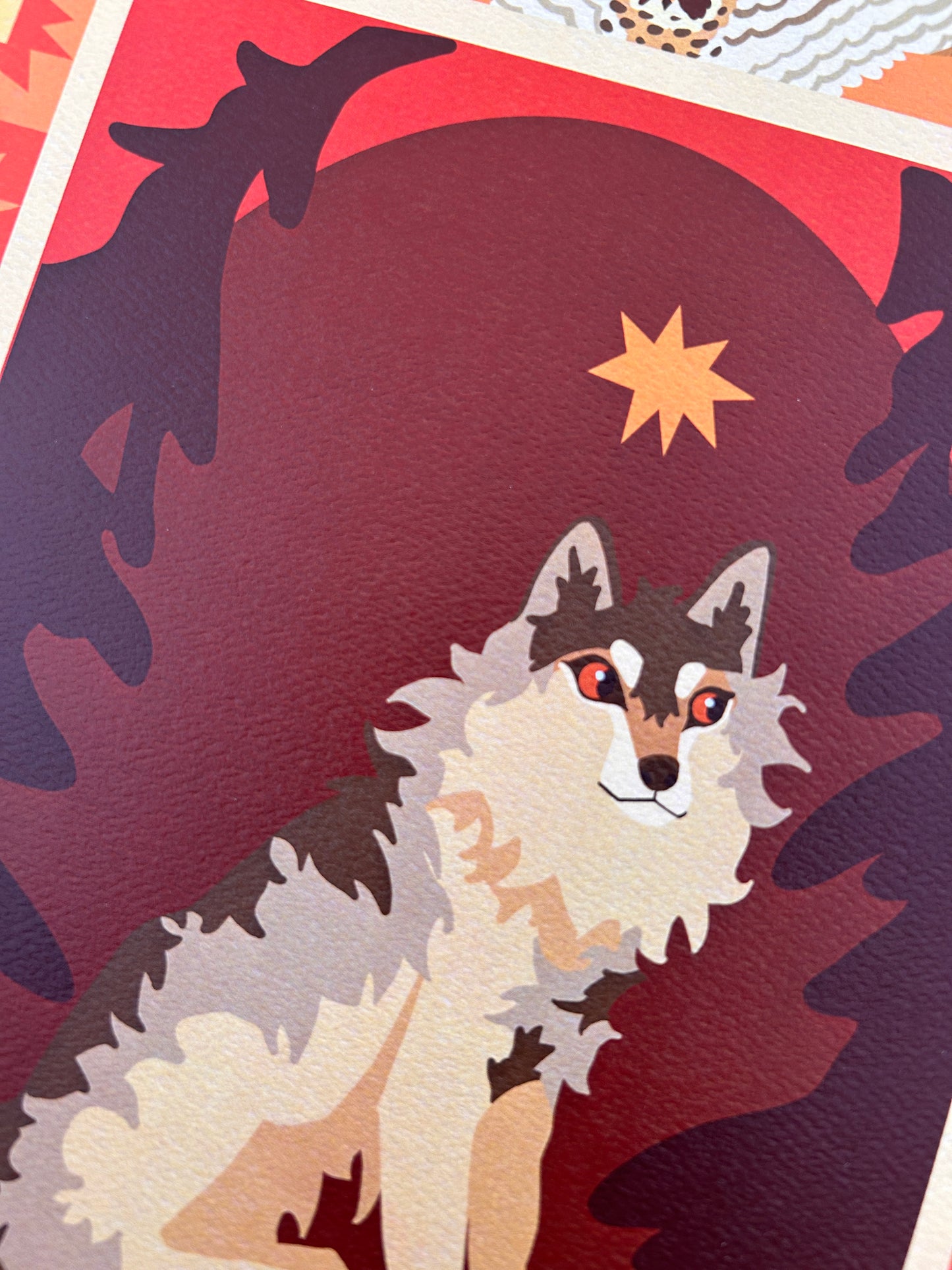 Summer Wolf - Art Print